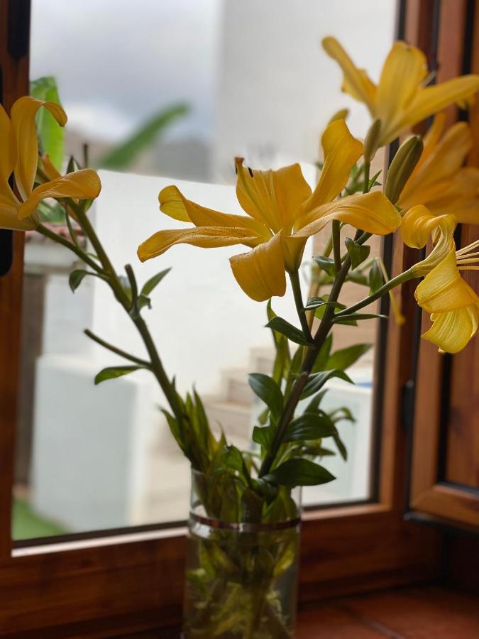 Casaruralarona Villa Valle de San Lorenzo Екстериор снимка